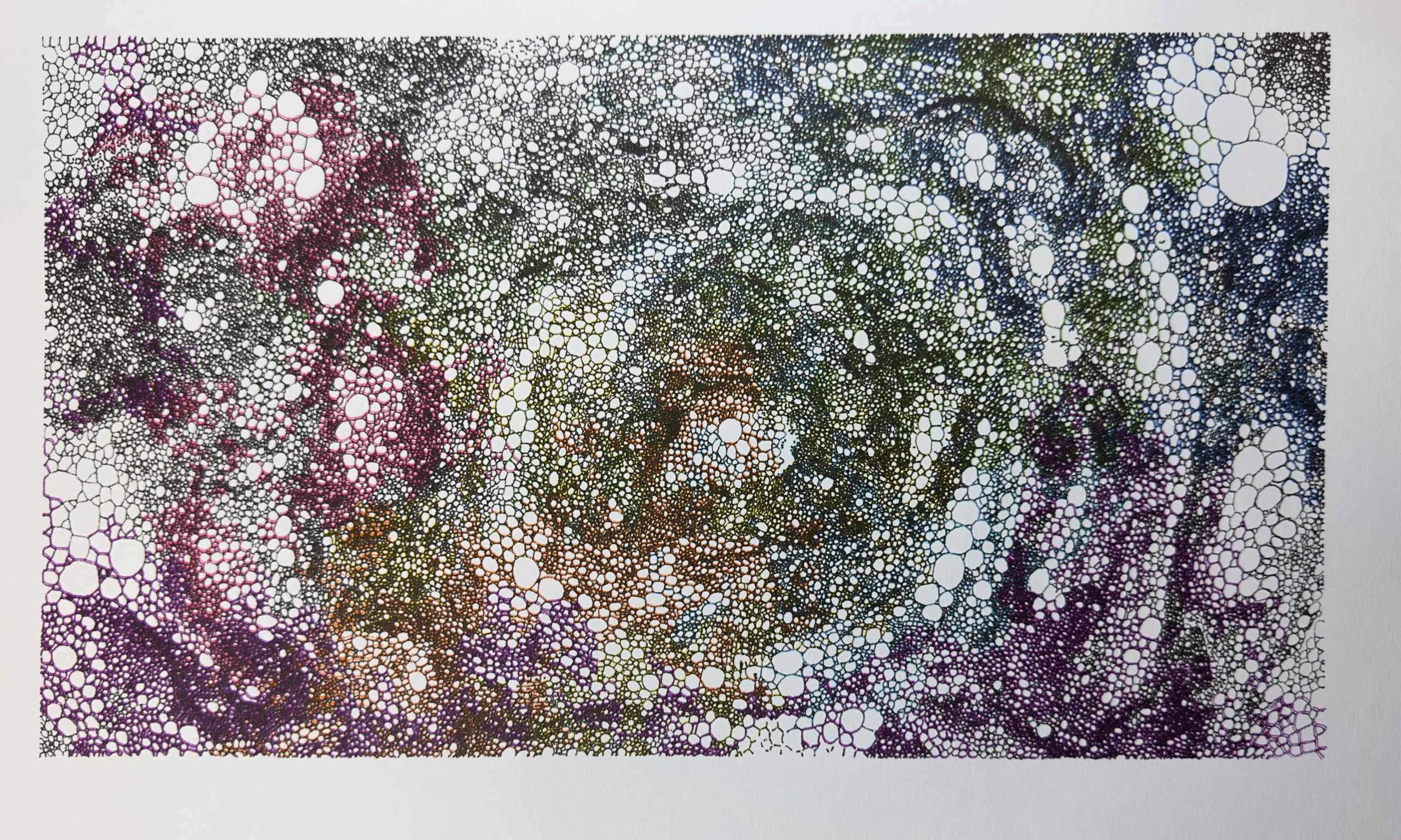Pen Plotter Work Blair Neal