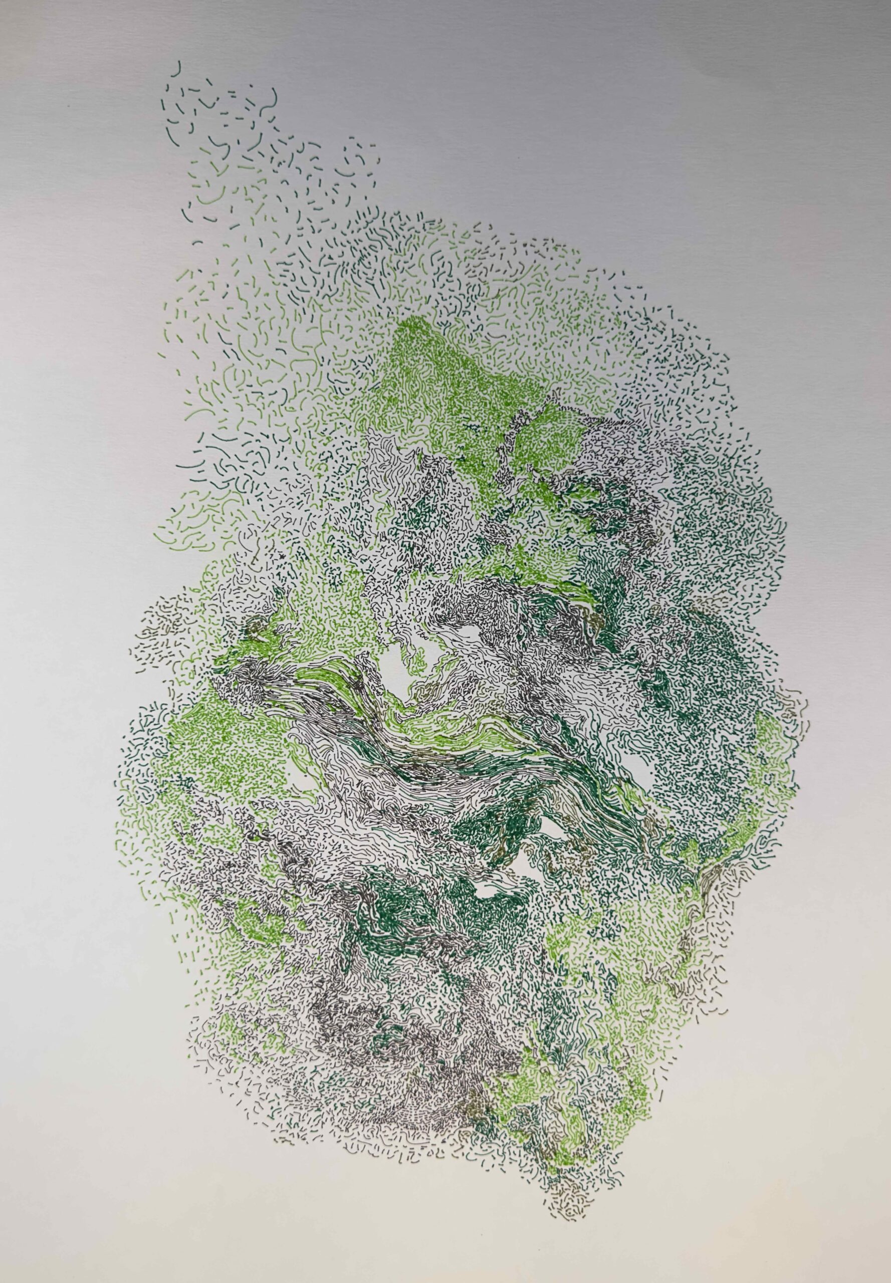 Pen Plotter Work Blair Neal